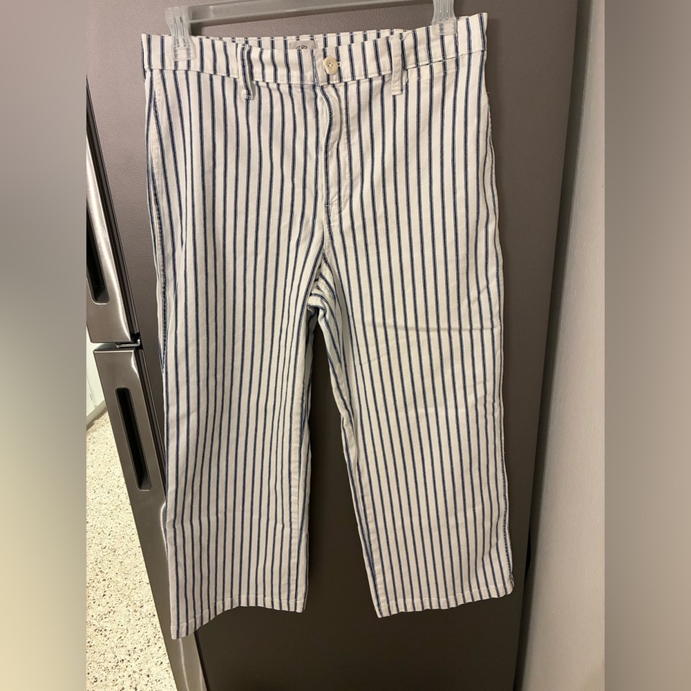 J. Crew Blue and White Striped Cropped Jeans Sz 31